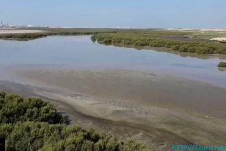 محمية الزوراء الطبيعية في عجمان