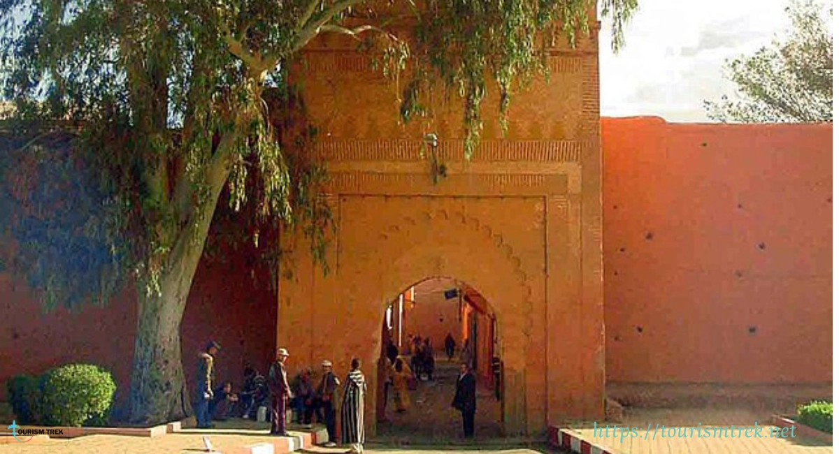 باب القصيبة