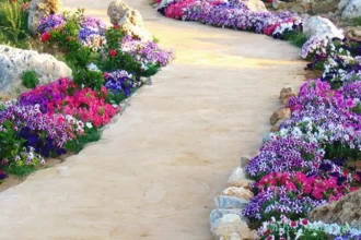 حديقة الورد بالاسكندرية