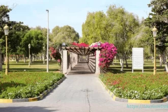 حديقة المطار الشارقة